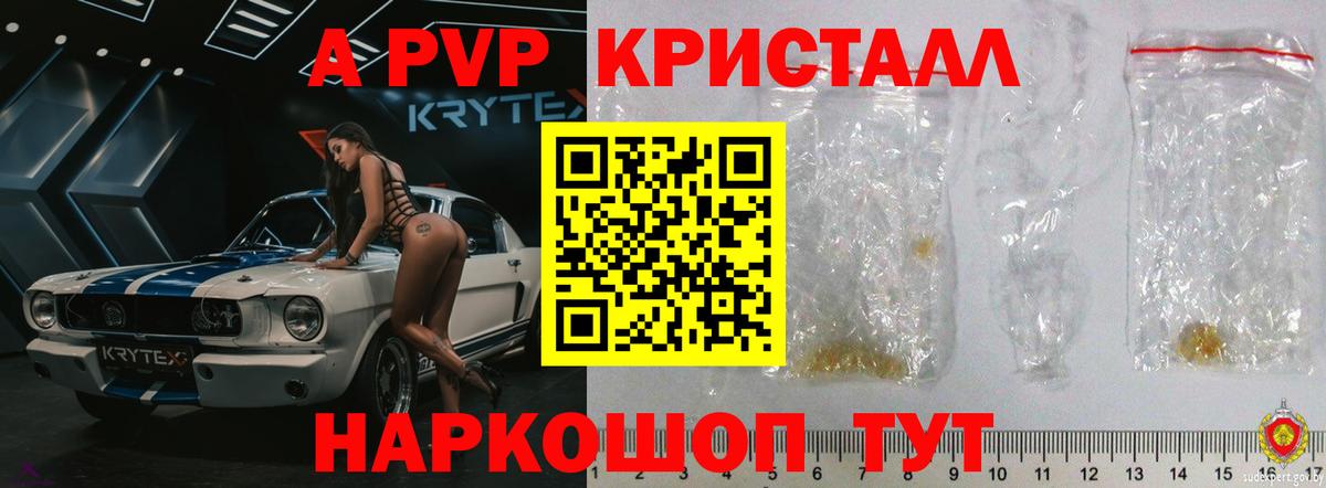 A-PVP СК КРИС Брянск