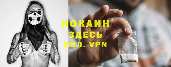 амф Ладушкин