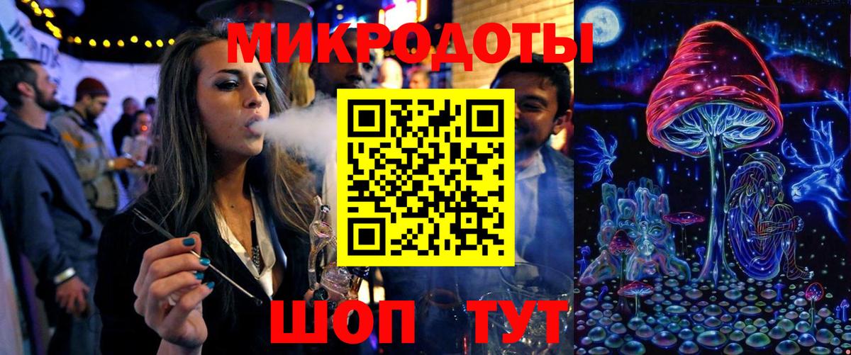 Псилоцибиновые грибы Psilocybe  Галлюциногенные грибы Psilocybine cubensis  Брянск 