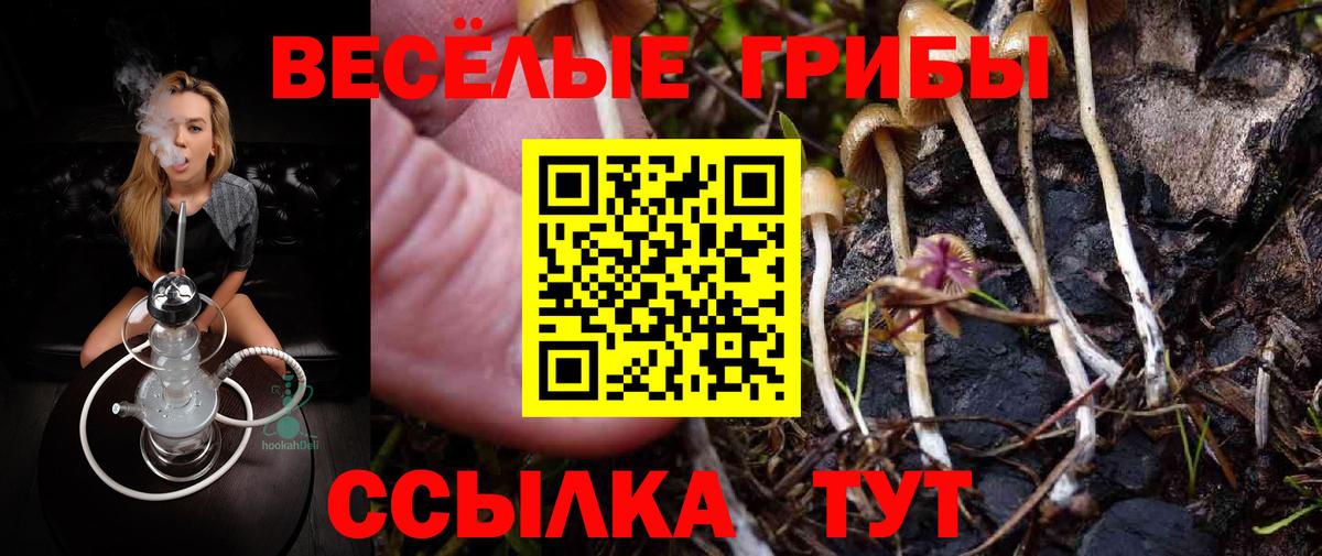Псилоцибиновые грибы ЛСД  Вход с VPN  Брянск  продажа наркотиков  Псилоцибиновые грибы мицелий 