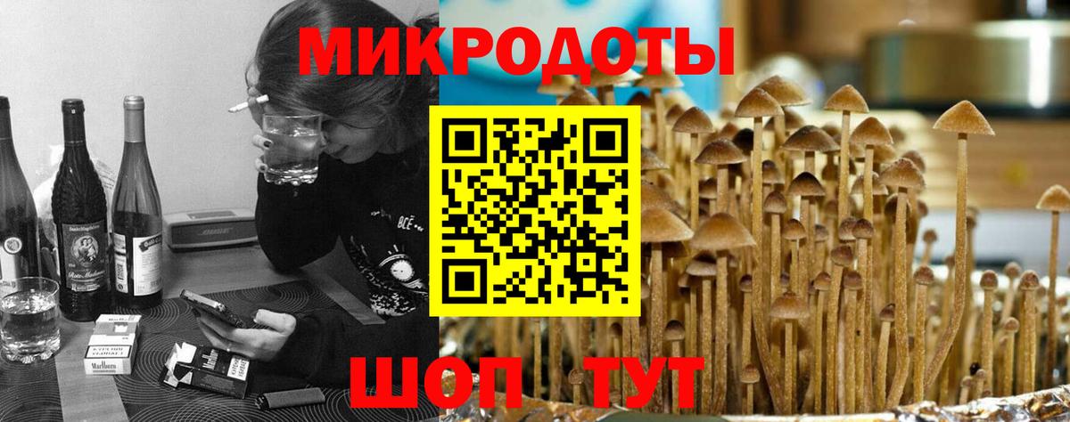 Галлюциногенные грибы мухоморы Брянск